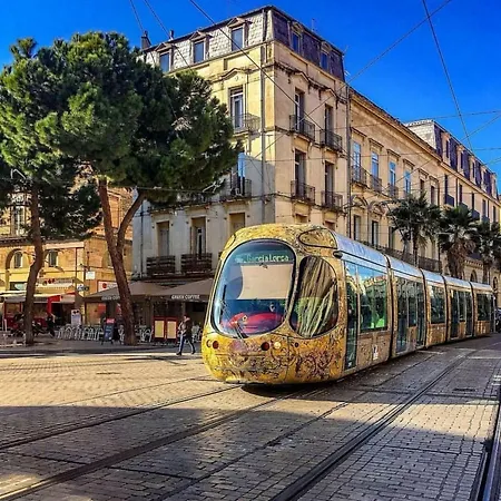Centre Ville Montpellier